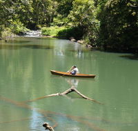 Figtree Getaway - Internet Find