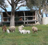 Gaddleen Grove Cottages - Internet Find