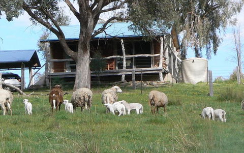 Gaddleen Grove Cottages - Internet Find 0