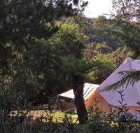 Glamping at Zeehan Bush Camp - Internet Find