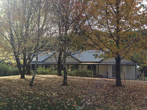 Goldberryaccommodation - Internet Find 0