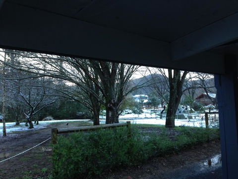 Goldberryaccommodation - Internet Find 3