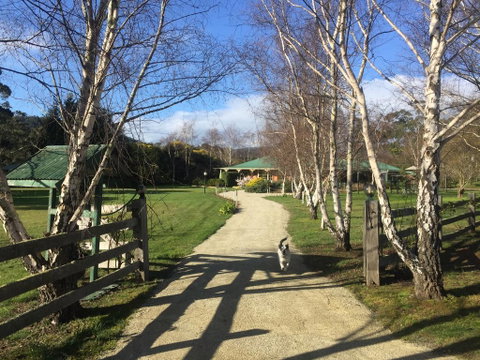 Green Gables B&B - Internet Find 0