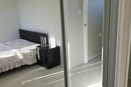 Harvey Heaven - Internet Find 0