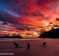 Heather's Mica Cottage - Internet Find