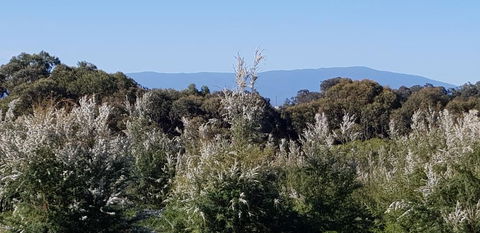 Hideaway Valley Farm - Internet Find 1