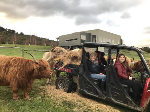 Highland Getaway - Internet Find 0