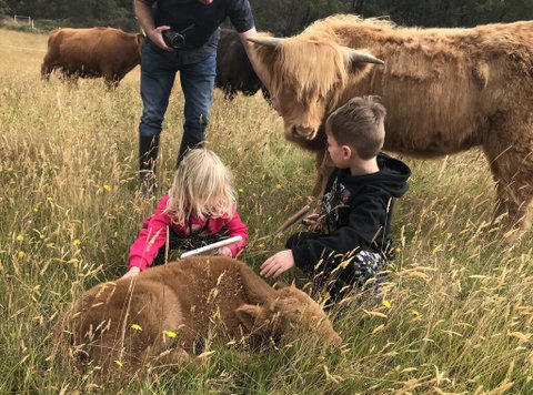Highland Getaway - Internet Find 3