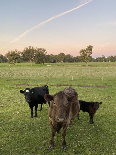 Holly House BnB - Internet Find 1