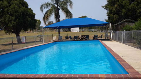 Jacaranda Motor Lodge - Internet Find 0