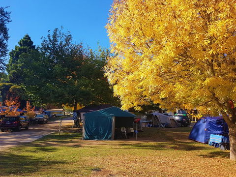 Jamieson Caravan Park - Internet Find 2
