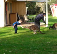 Kalgan River Chalets and Caravan Park - Internet Find