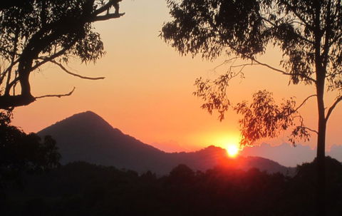 Karmya Cabin Eco-Retreat - Internet Find 0