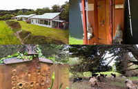 Business in Kongwak VIC Internet Find Internet Find