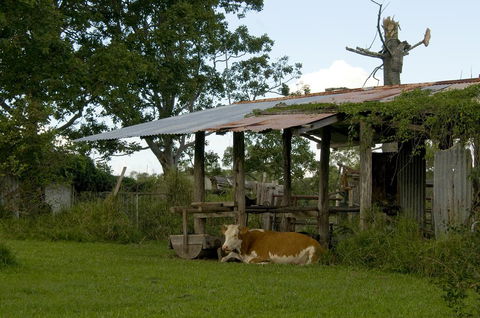 Lagoon Pocket Bed & Breakfast - Internet Find 3