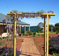 Lavendale Farmstay and Cottages York - Internet Find