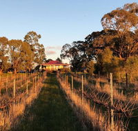 Lillicur Vineyard BB - Internet Find