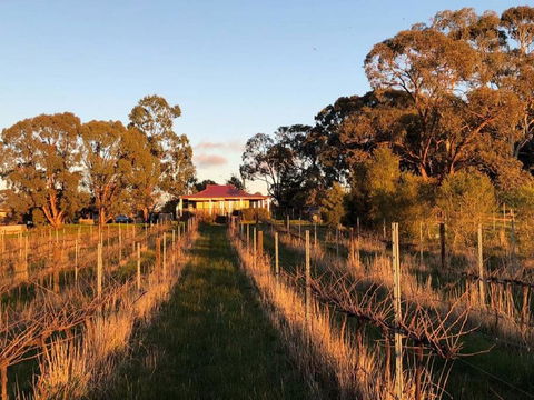 Lillicur Vineyard B&B - Internet Find 0