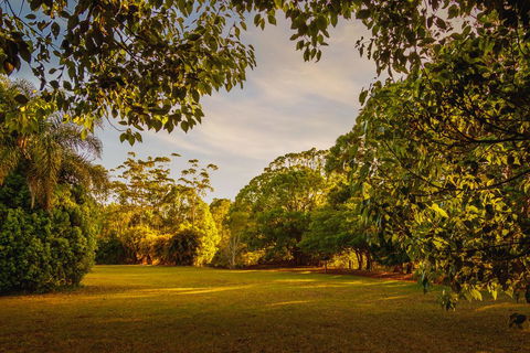 Malanda Lodge - Internet Find 1