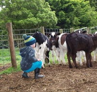 Manderley Park Farmstay BB - Internet Find