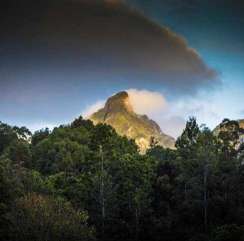 Mavis's Cabins @ Mt Warning - Internet Find 1
