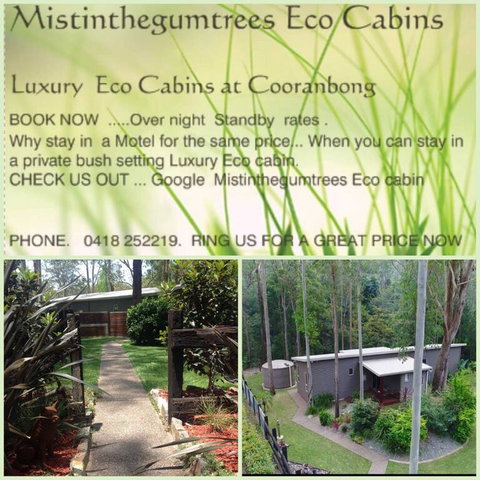 Mistinthegumtrees Eco Luxury Cabins - Internet Find 3