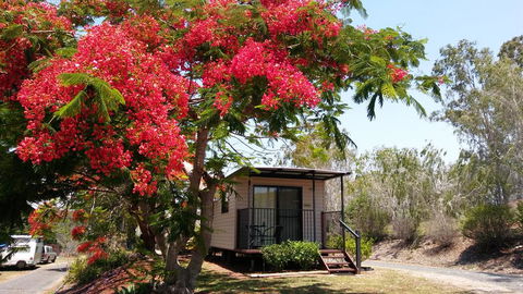 Mt Larcom Tourist Park - Internet Find 0