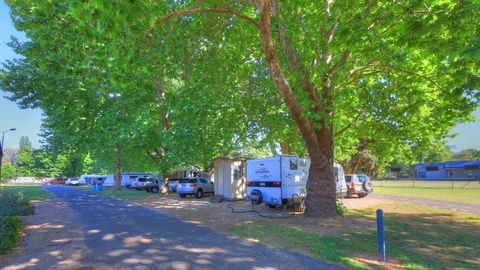 Myrtleford Holiday Park - Internet Find 1