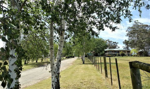 Nicholson BnB And Arts Centre - Internet Find 0