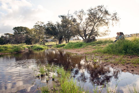 Northbrook Farmstay - Internet Find 0