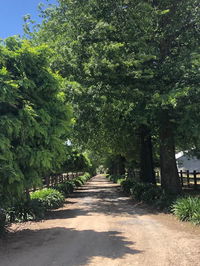 Oak Lane Guest House  Farm Stay