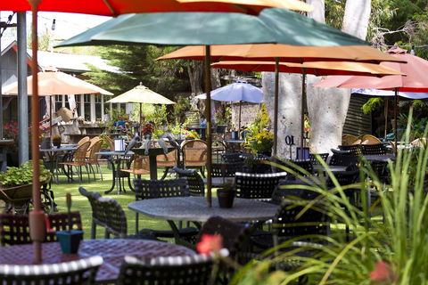 Oakdene Vineyards Guesthouse - Internet Find 0