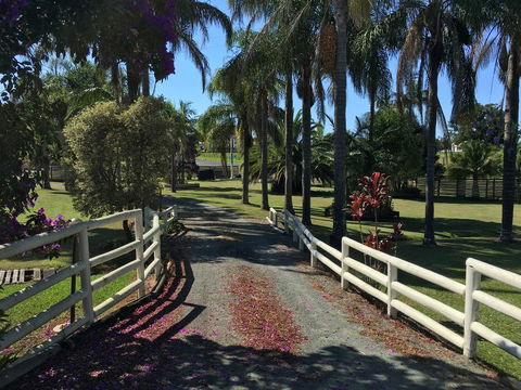 Palms Oasis Motel - Internet Find 3