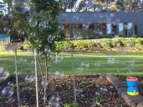 Paradiso Kinglake - Internet Find 1
