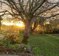 Peg Cottage - Internet Find