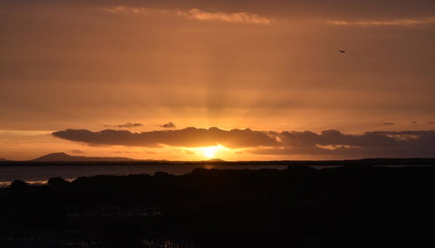 Port Albert Motel - Internet Find 1