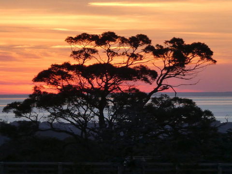 Red Hill Ridge - Internet Find 1