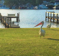 Riverfront Getaway - Mannum - Internet Find