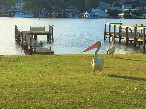 Riverfront Getaway - Mannum - Internet Find 0