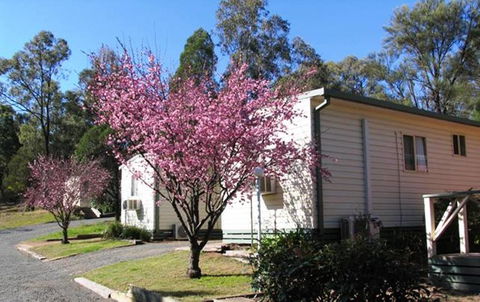 Sandy Hollow Tourist Park - Internet Find 3