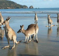 Seaforth Holiday Units - Internet Find
