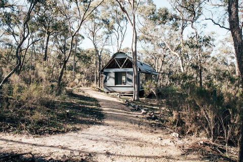 Shack 14 - Internet Find 2