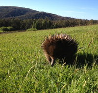 Silver Ridge Retreat - Internet Find