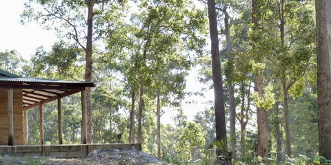 Southern Forest Escape Pemberton - Internet Find 1