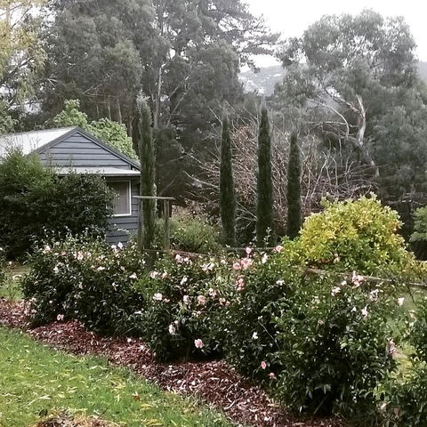 Summerhill Farm B&B - Internet Find 3