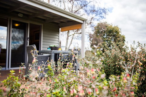 Sunnyside Cottage - Internet Find 2