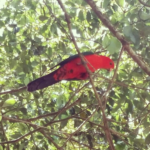 Sunshine Valley Cottages - Internet Find 3