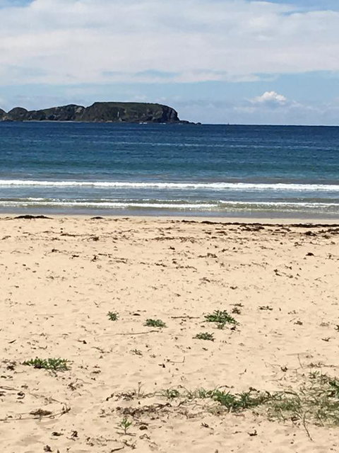 Surf Beach Holiday - Internet Find 0