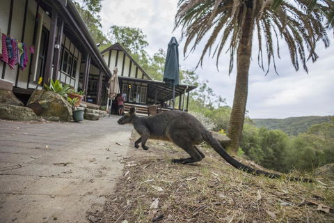 Sydney, Pittwater YHA - Internet Find 2
