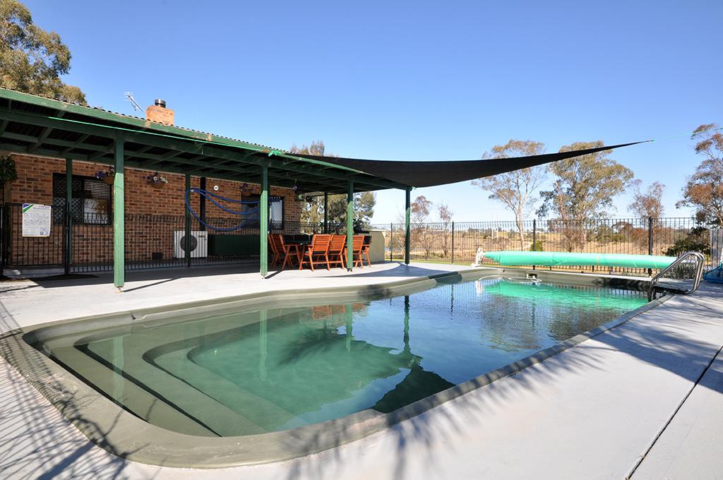 Melville NSW Internet Find